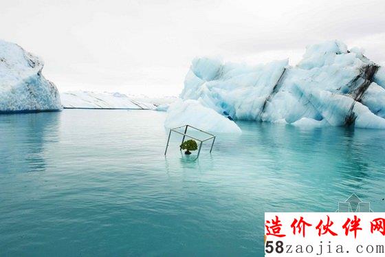 美国达拉斯艺术馆一棵盆栽的10年“游历”