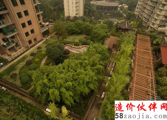 史上最牛空中后花园 空降杭州居民楼