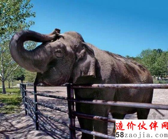 迈克尔杰克逊“梦幻庄园”双11开拍 起拍价竟达5亿元?