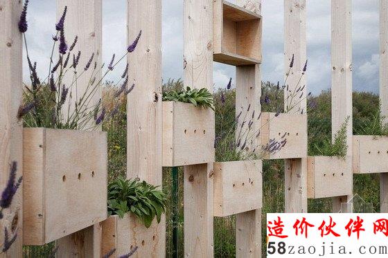 荷兰露天课堂设计的神迹