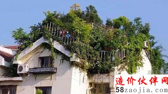 退休大爷牛一把 自建5层空中花园