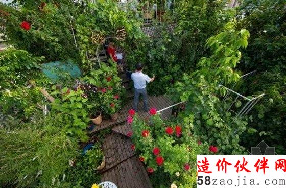 退休大爷牛一把 自建5层空中花园