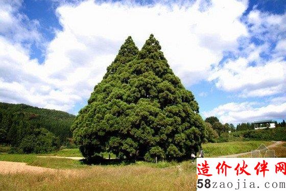 八一八童话里的那些现实美景