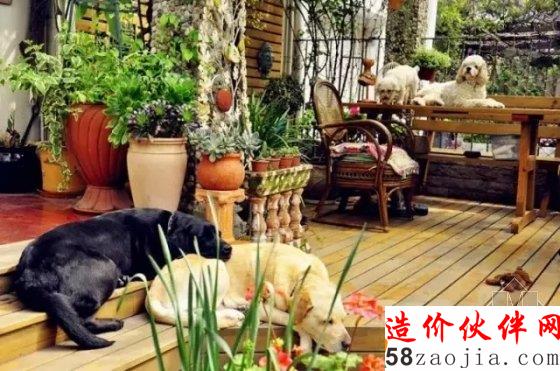 这个姑娘 经过她家你会忍不住停下来赏花