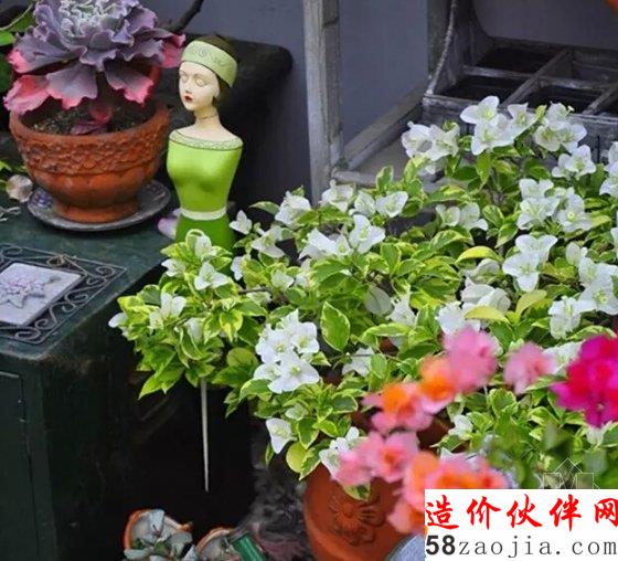 这个姑娘 经过她家你会忍不住停下来赏花