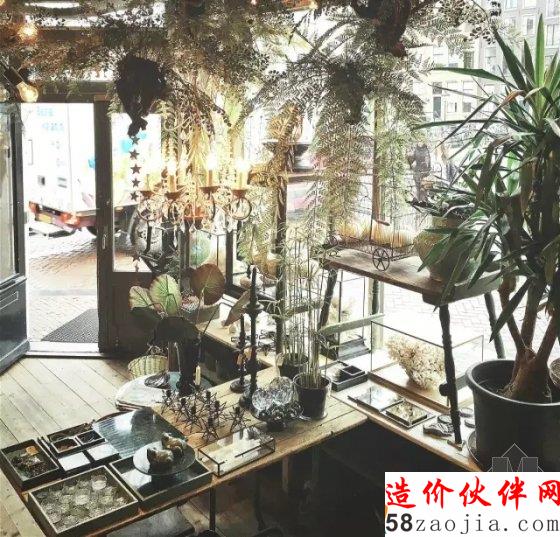 她放弃几十万年薪去摆弄花花草草