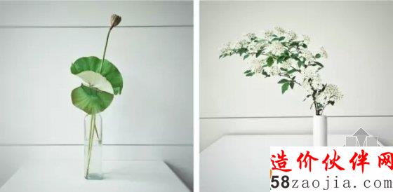 她放弃几十万年薪去摆弄花花草草