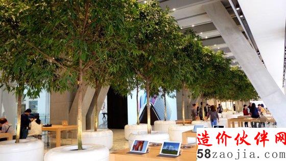 天津开了一家种了树的苹果店旗舰店
