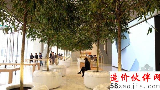 天津开了一家种了树的苹果店旗舰店