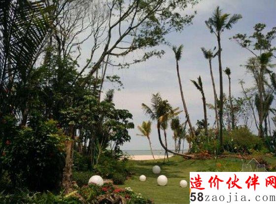 碧桂园森林城市