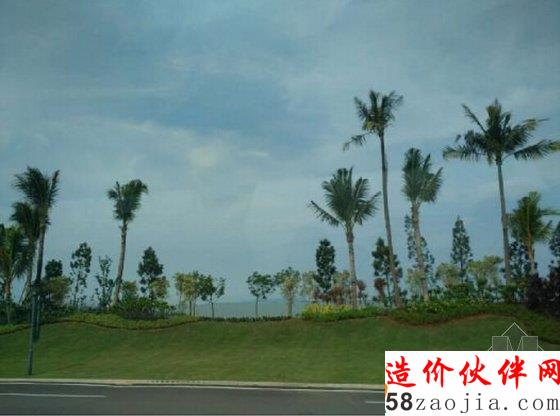 碧桂园森林城市