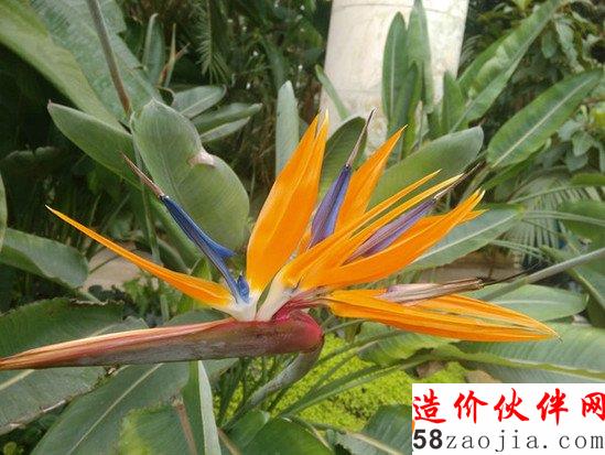 每年只开放三周 神秘的皇家花园