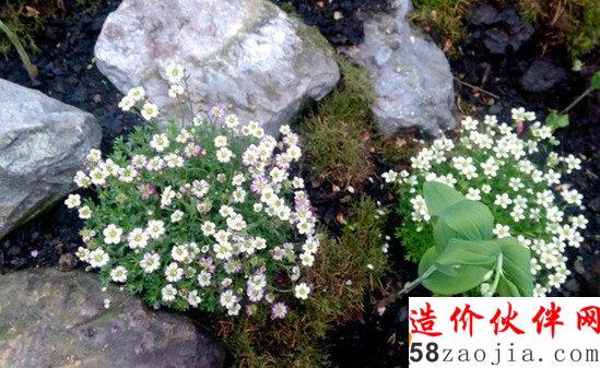 每年只开放三周 神秘的皇家花园