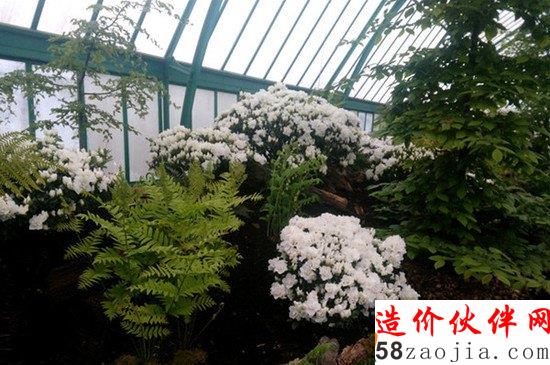 每年只开放三周 神秘的皇家花园