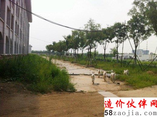 据了解,该酒店为一U型建筑群,占地60余亩,于2010年投入建设,总投资约为2.8亿元,集餐饮、住宿、娱乐及大型会议接待为一体,内部装修按照“超五星”级标准共设计豪华套房数十间、标准间近200间。