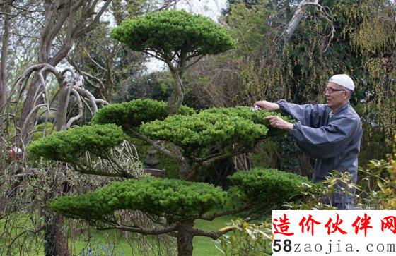 日本和尚35年建一座8100平米园林