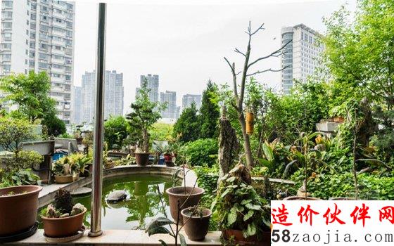 7旬老人8年打造700平米“空中花园”