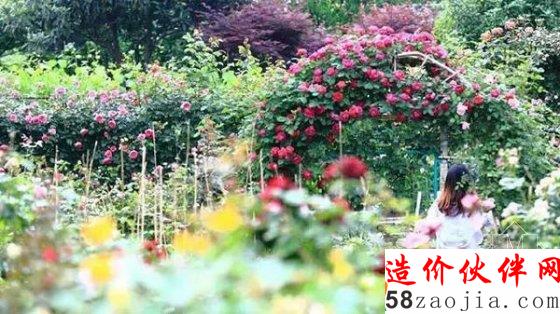 姑娘们不远千里,跑来看他的花园