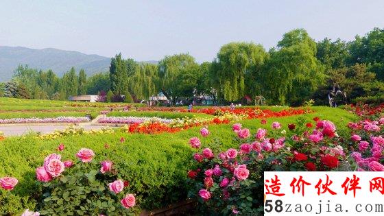 5月花讯,四大植物园邀您来赏花