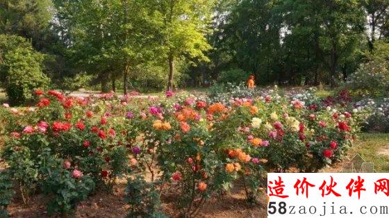 5月花讯,四大植物园邀您来赏花