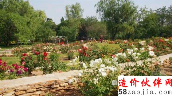 5月花讯,四大植物园邀您来赏花