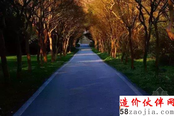 5月花讯,四大植物园邀您来赏花