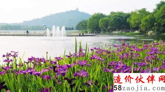 5月花讯,四大植物园邀您来赏花