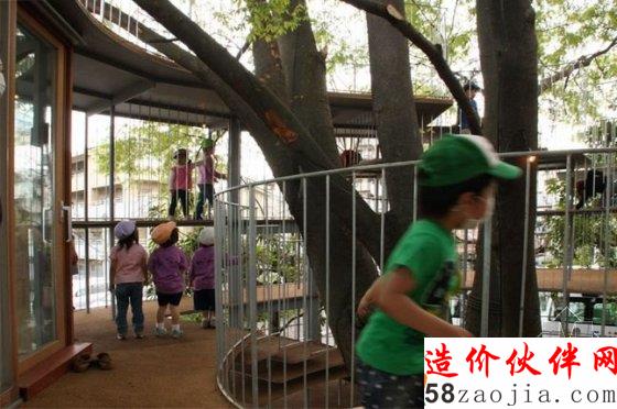长在树上的幼儿园 让孩子回归大自然
