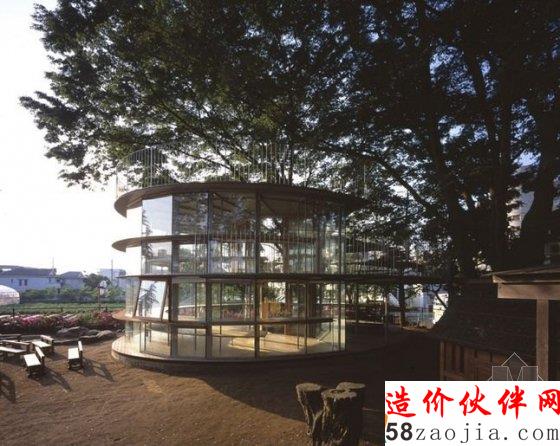 长在树上的幼儿园 让孩子回归大自然