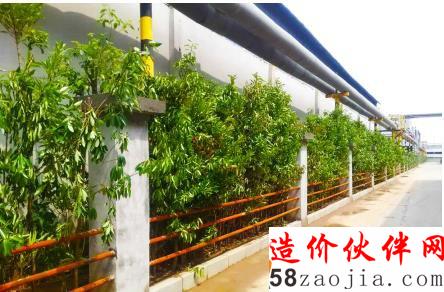 白象食品工厂改造后的道路绿植