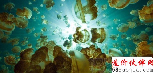 �ƽ���ʦ���ˮĸ����̬С�� ȡ��ˮ��ƶ���