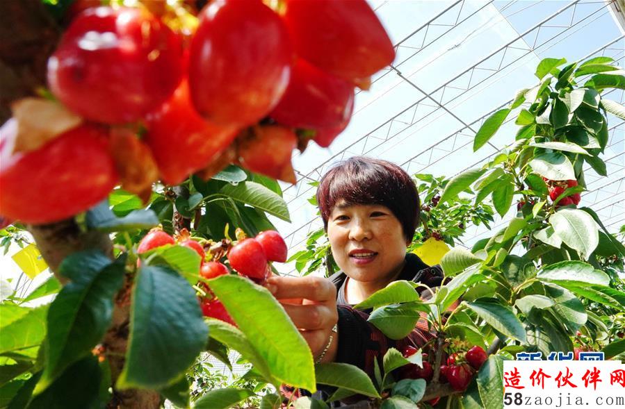 (经济)(2)“农旅融合”助推乡村振兴