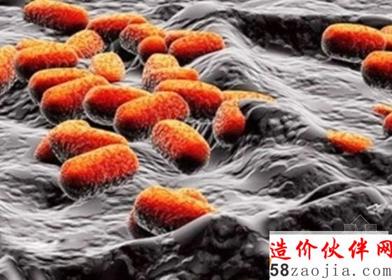 “超能细菌” 专“吃”工业污水中的有毒物质_副本.jpg