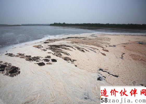 湖中江豚不足百头 - 虫言虫语 - 爬虫社_副本.jpg