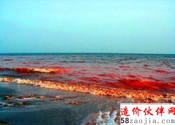 长江向污染宣战 防治之箭一触即发_副本_副本.jpg